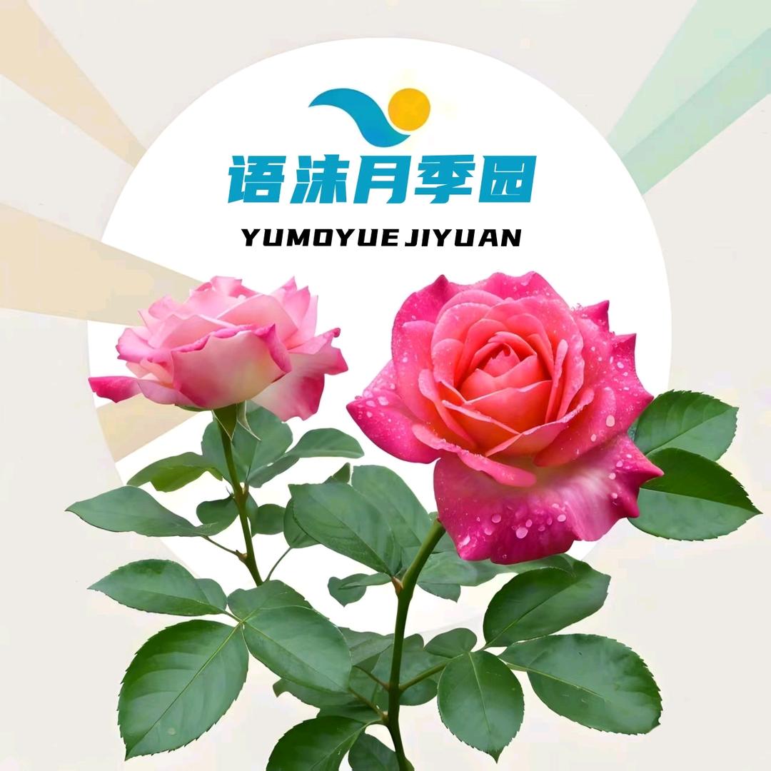 语沫花集