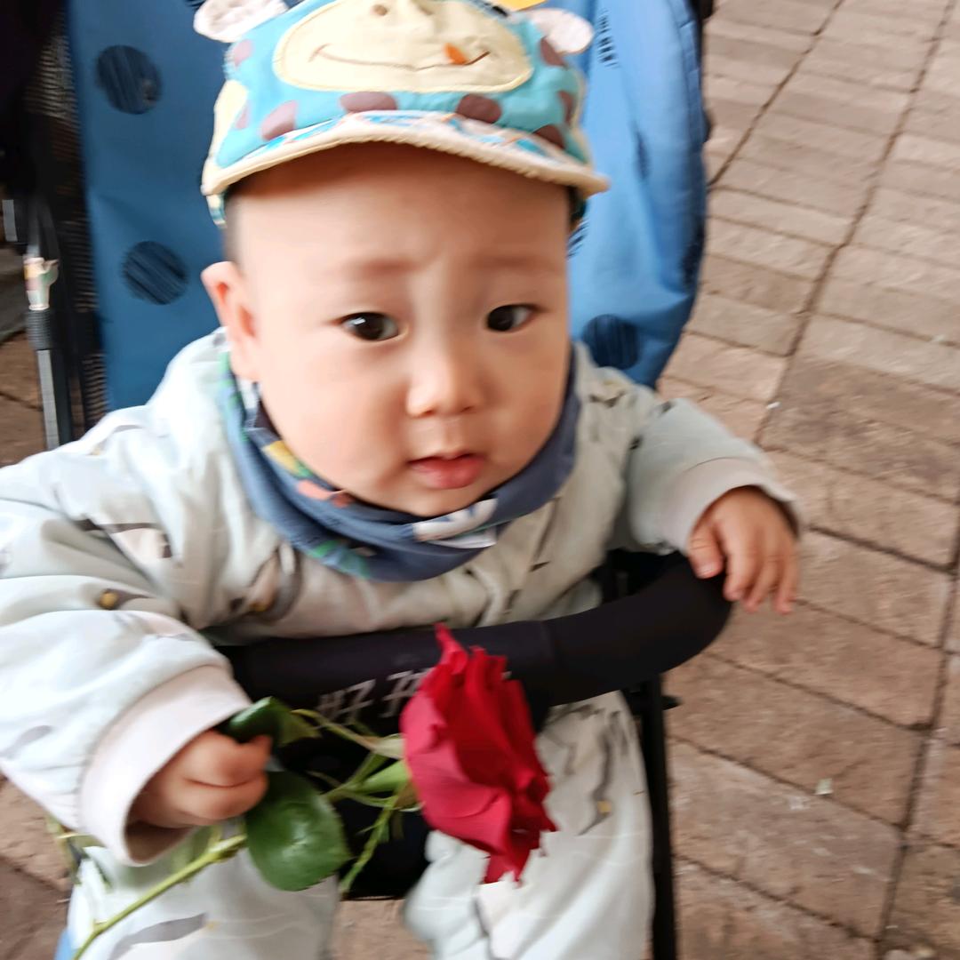 玫瑰鲜切花