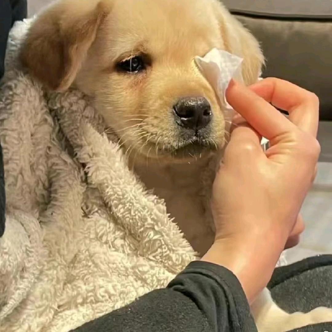 温柔只给意中人613