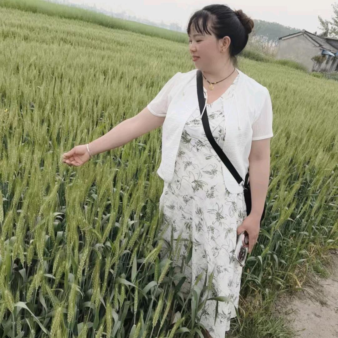 风雨