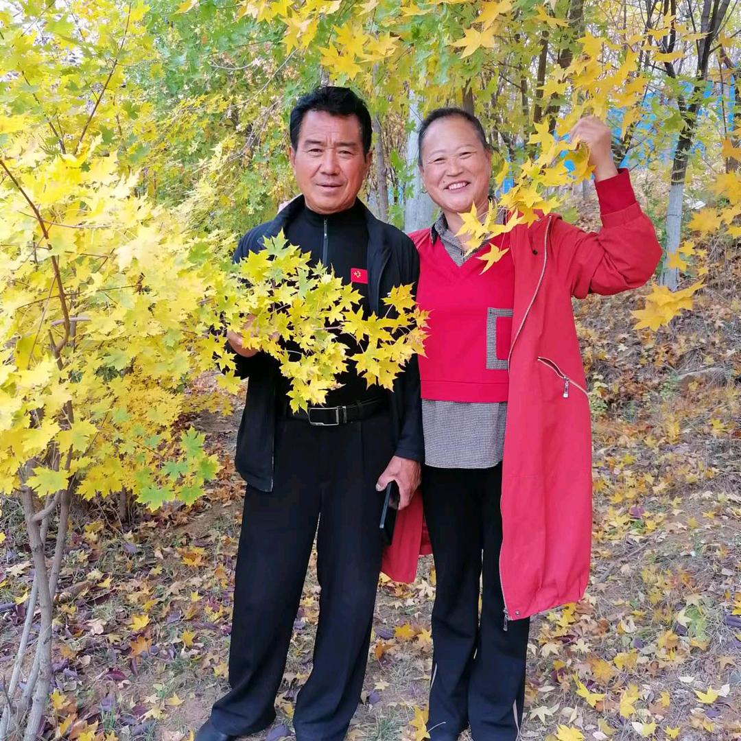 快乐明悦