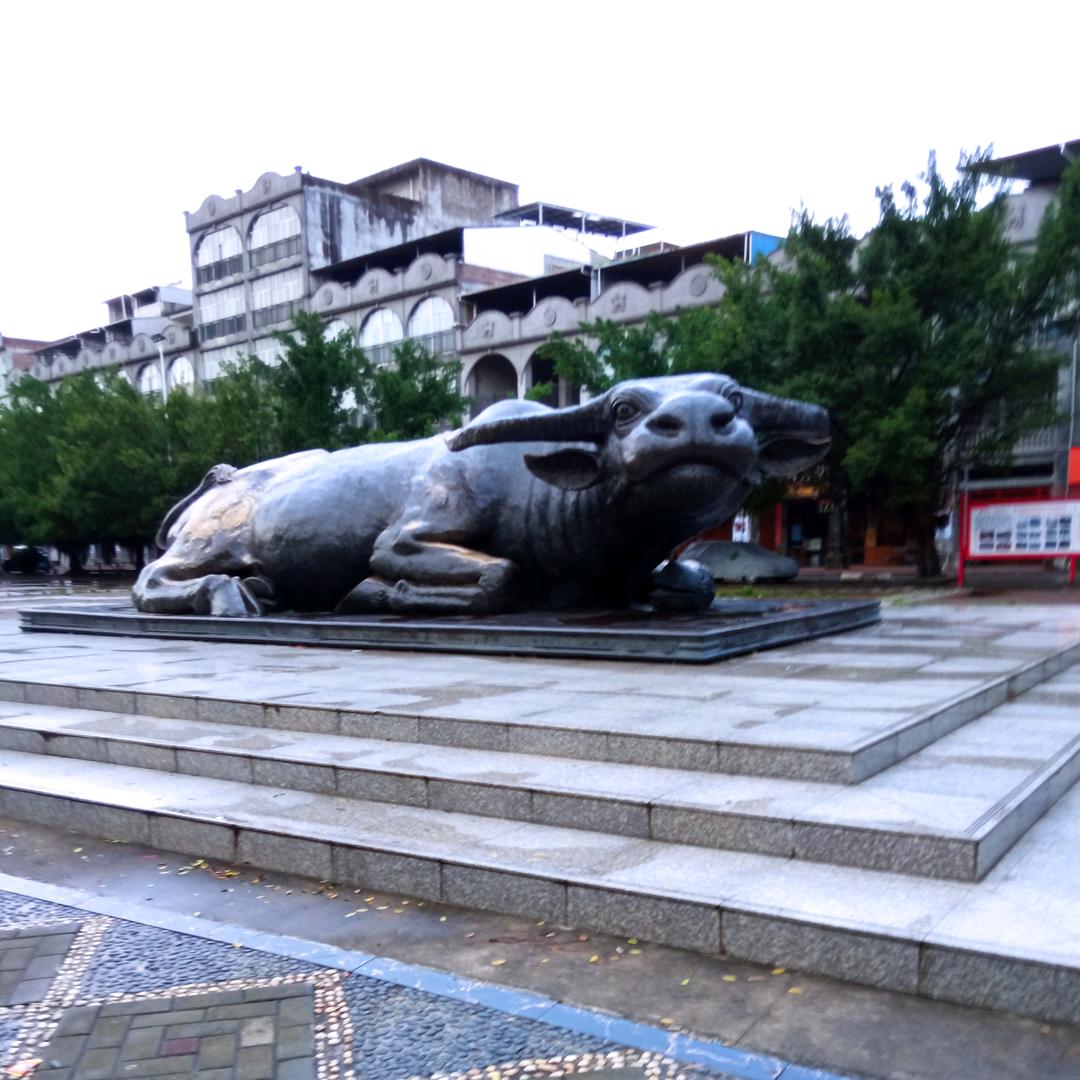 邹着幸福