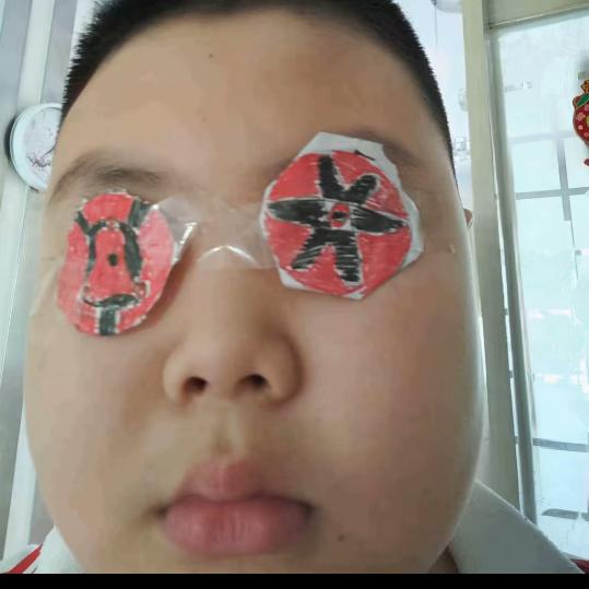 眉狸猫