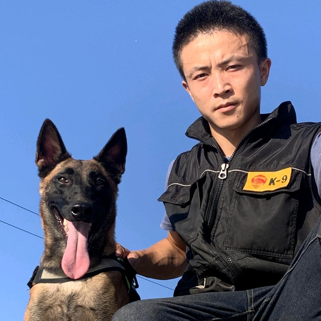 乐山爱马人宠物训练张校长
