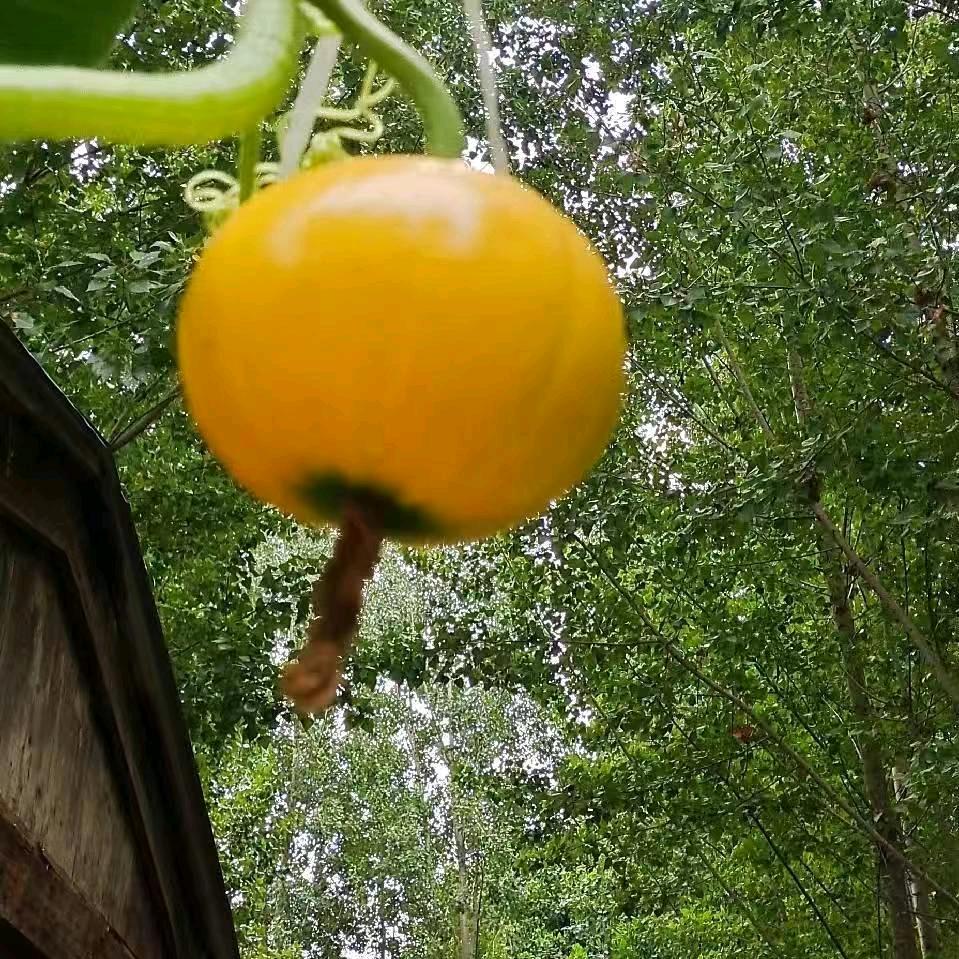 奋斗。