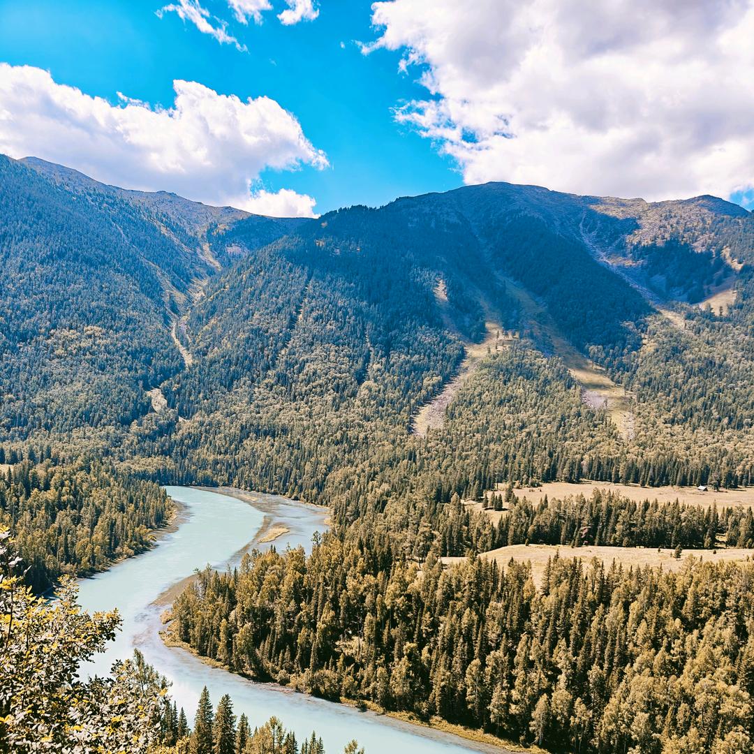 国内友人张老师