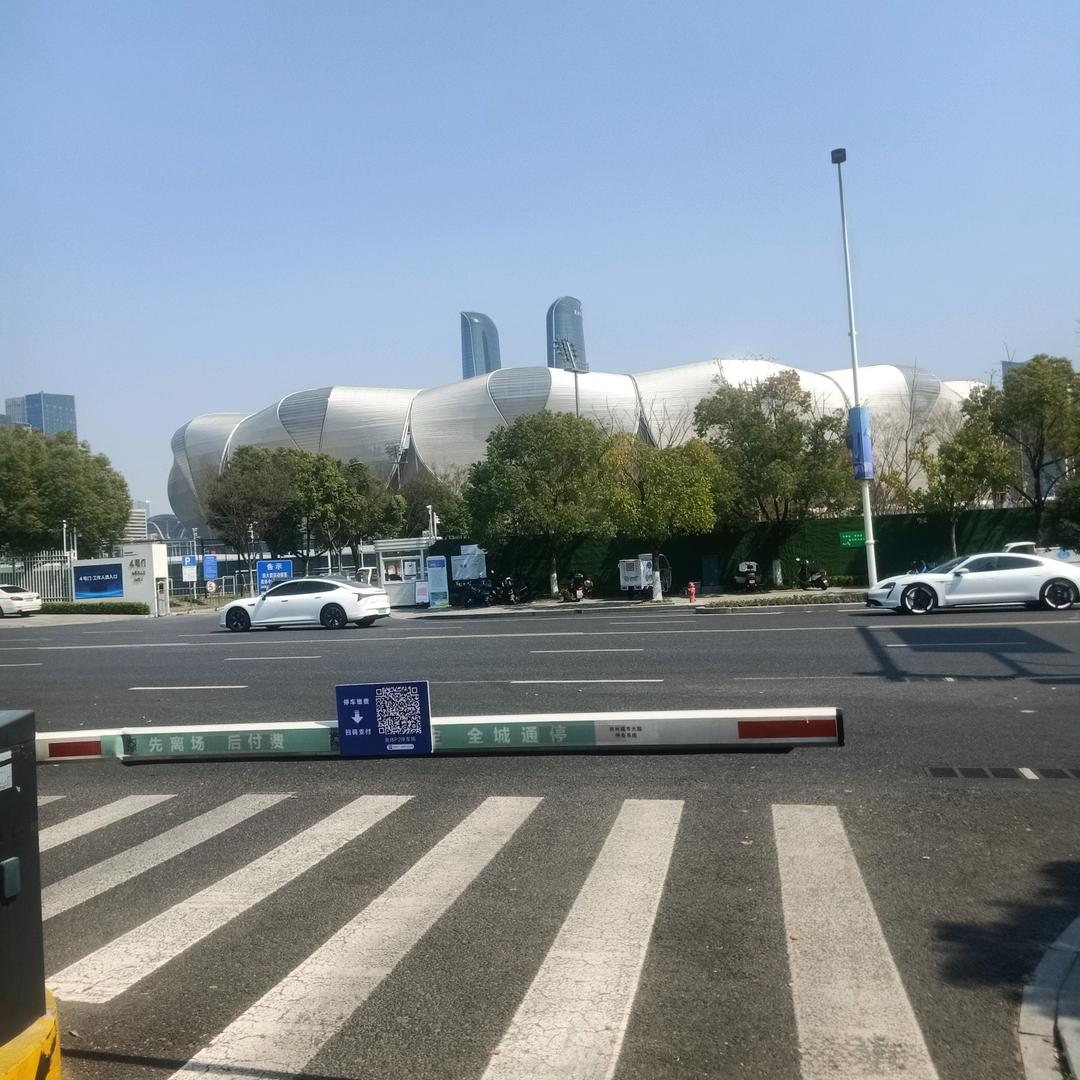 农村李姐