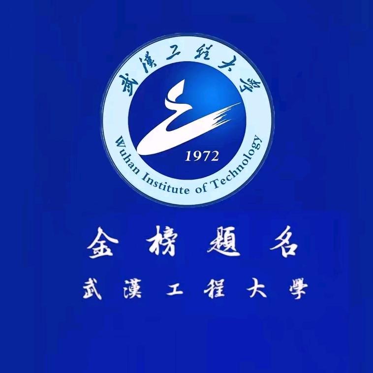 升学规划林老师
