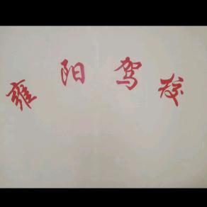 天津市雍阳驾驶员培训有限公司运营号