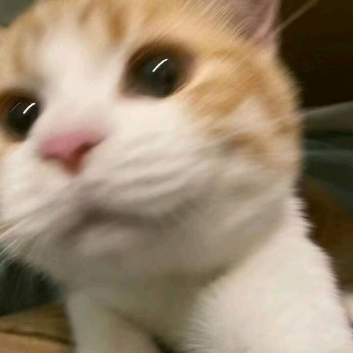 牛角包