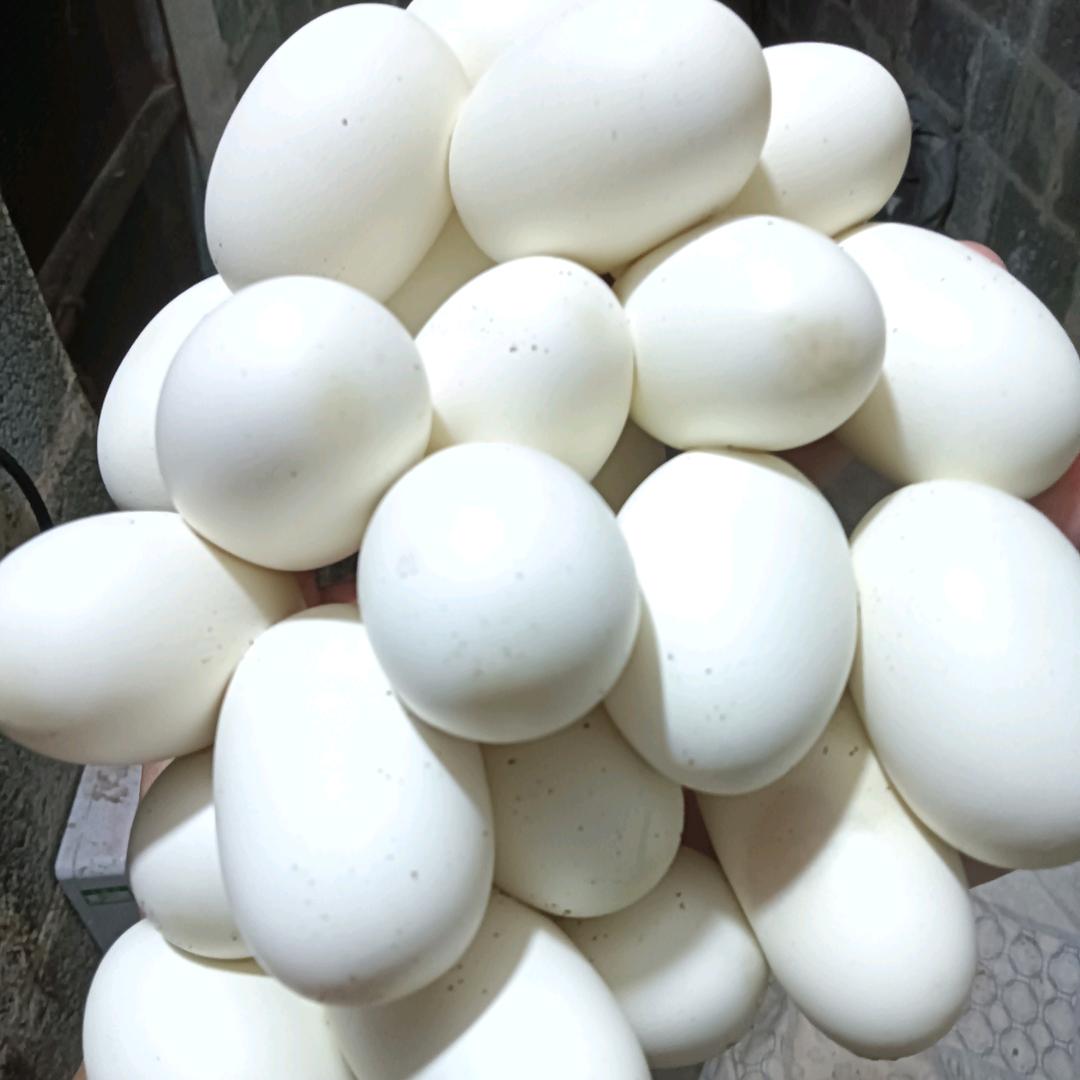 重启人生