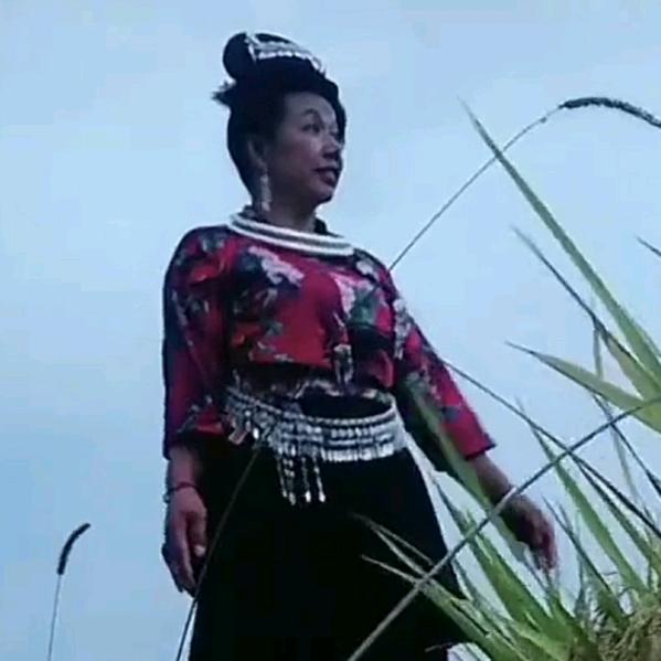 高要梯田不老泉农家乐