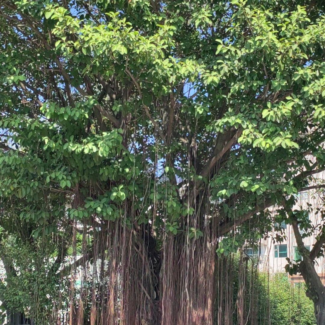 ？？？？？？。。。。。。