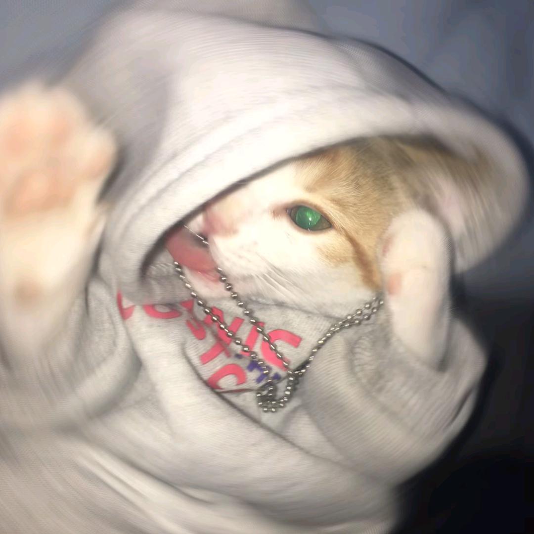 源梧