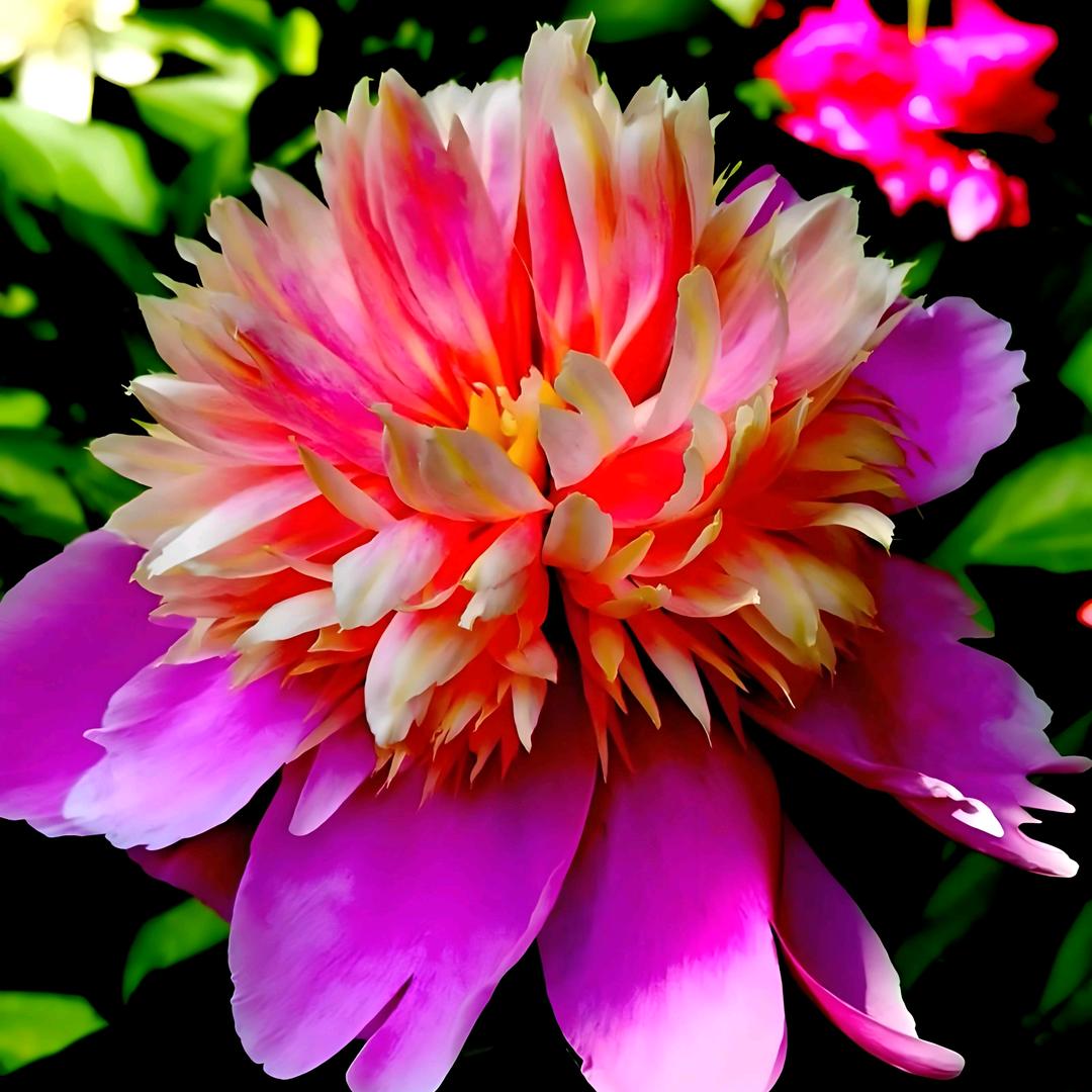 馨昕家纺工厂店