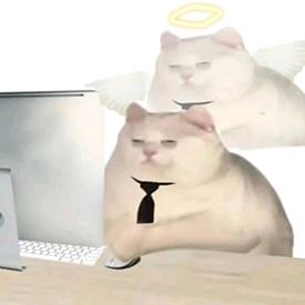 睿智の云归不归