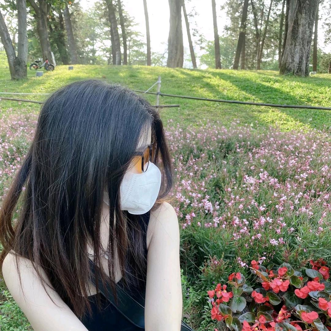 绿叉籽