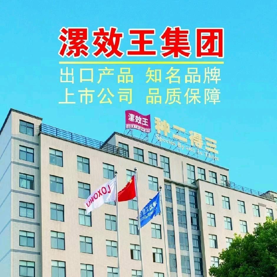 漯效王集团招商部杨利茹