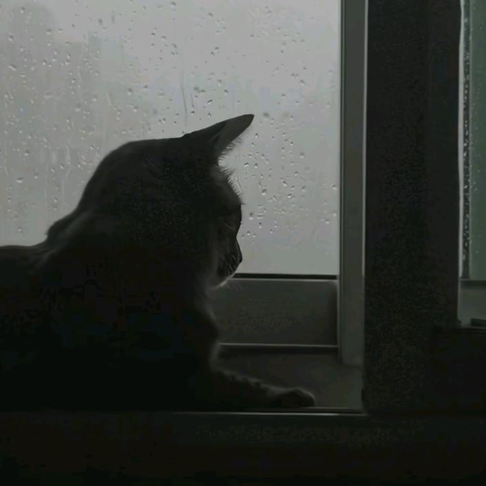 ＇🌧️