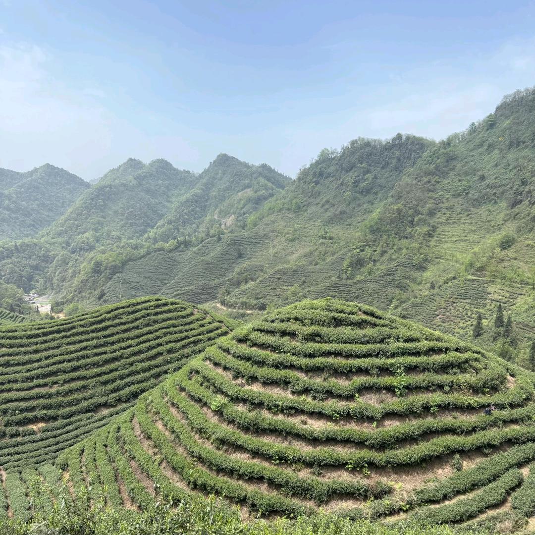 农业符号