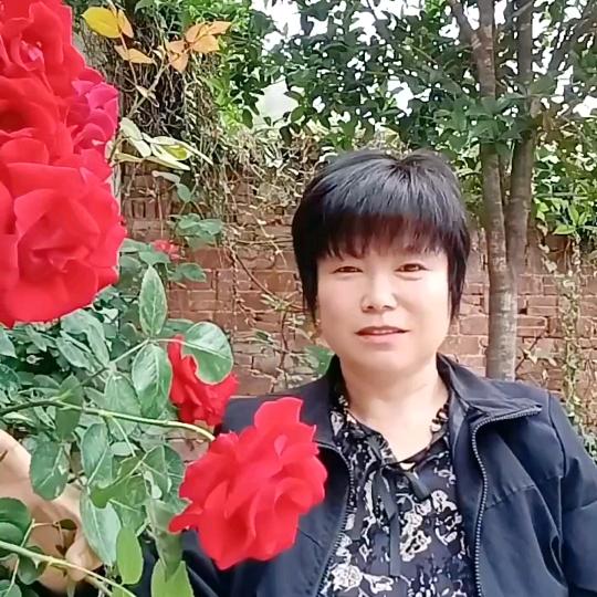 银杏自媒体