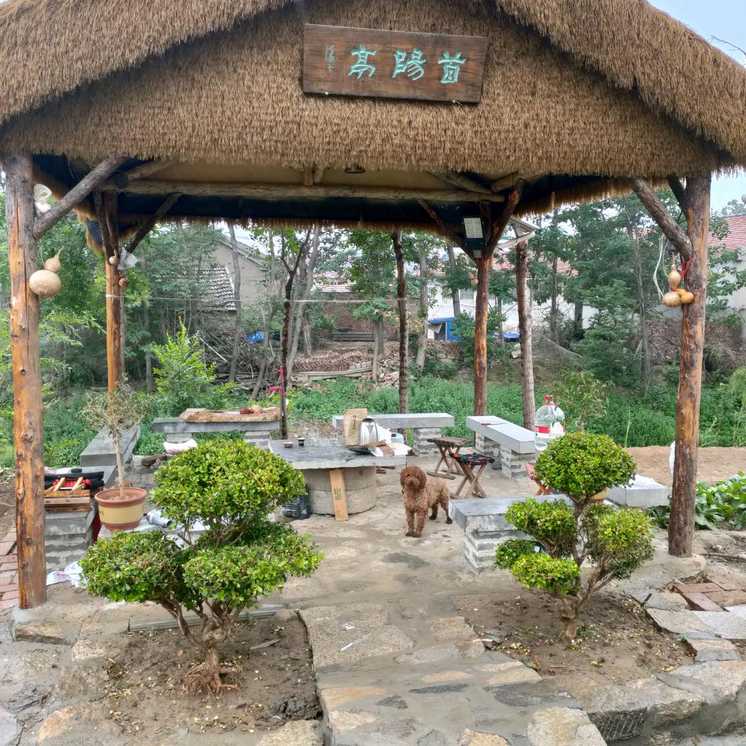 三省