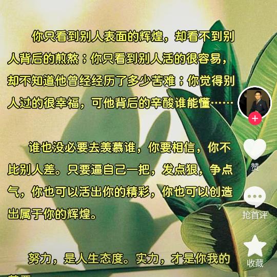 孤独🦩