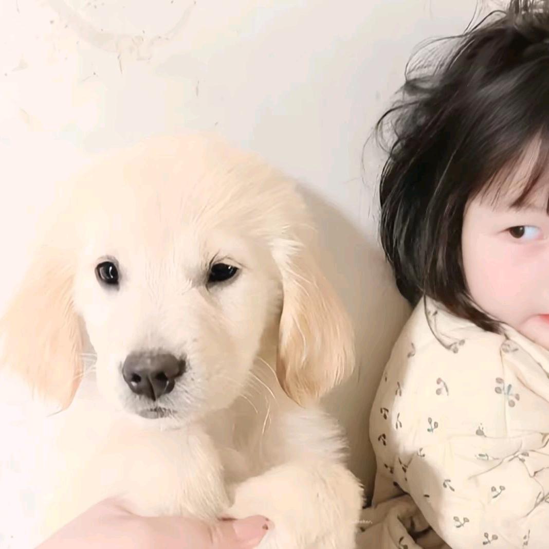 小鱼干