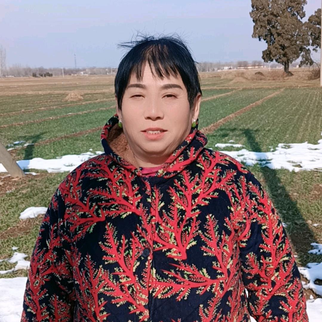 改云（晚7点半开播）