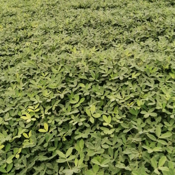 选择自己走的路