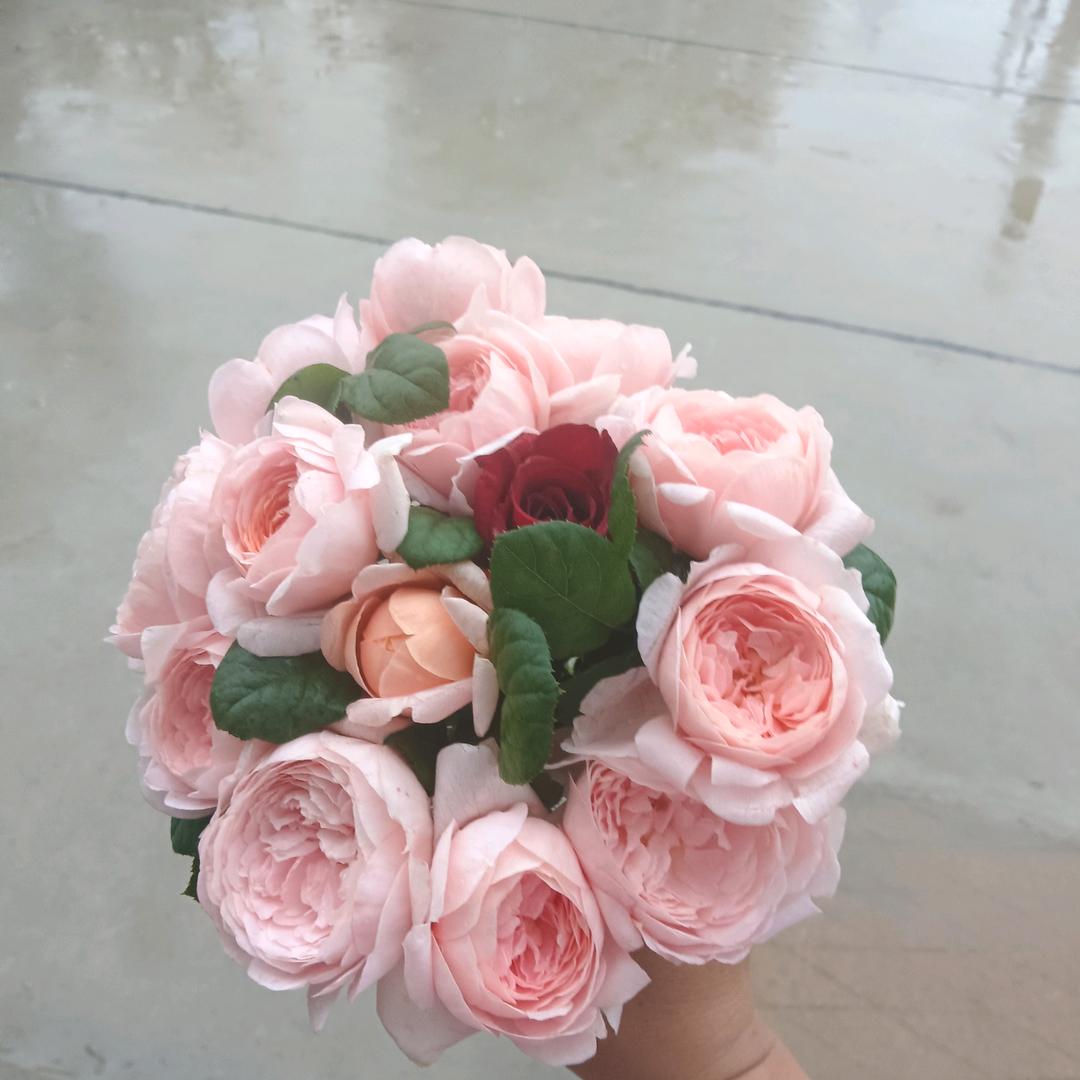 @深秋