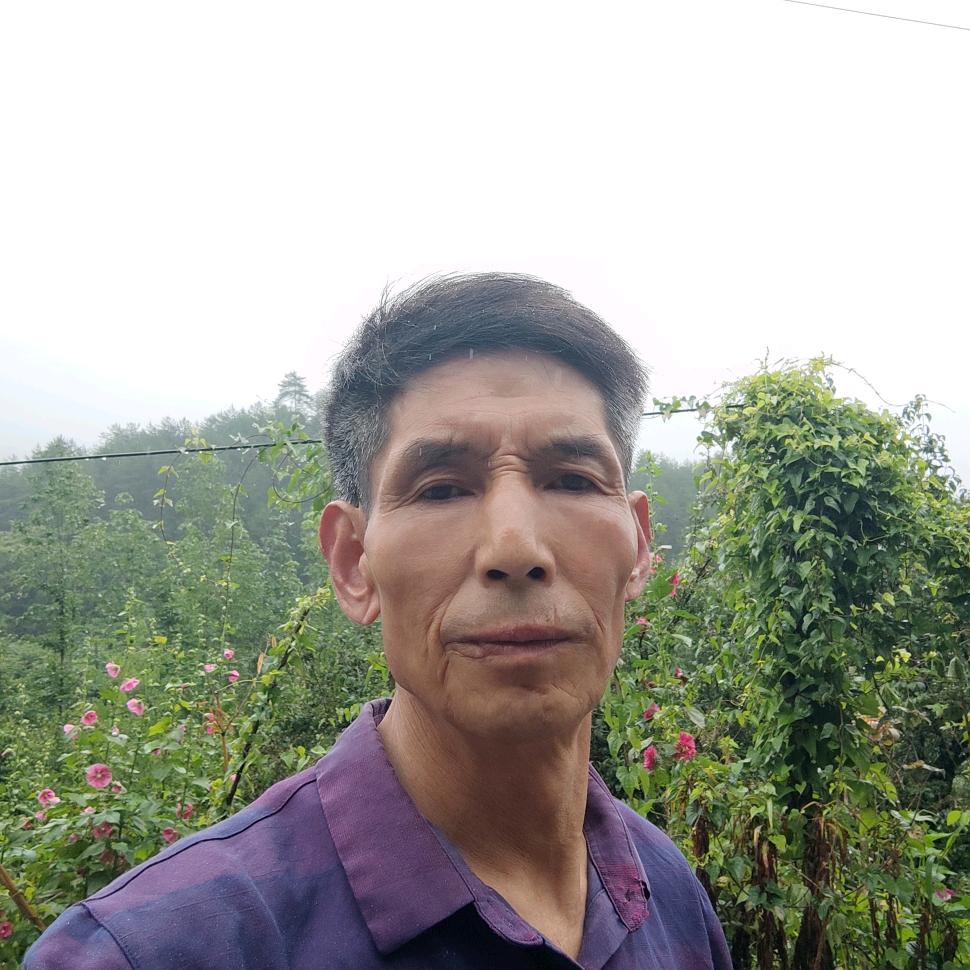 平凡养猪人