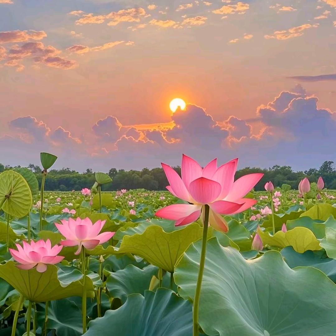 滨海鑫利海炒货<批发>