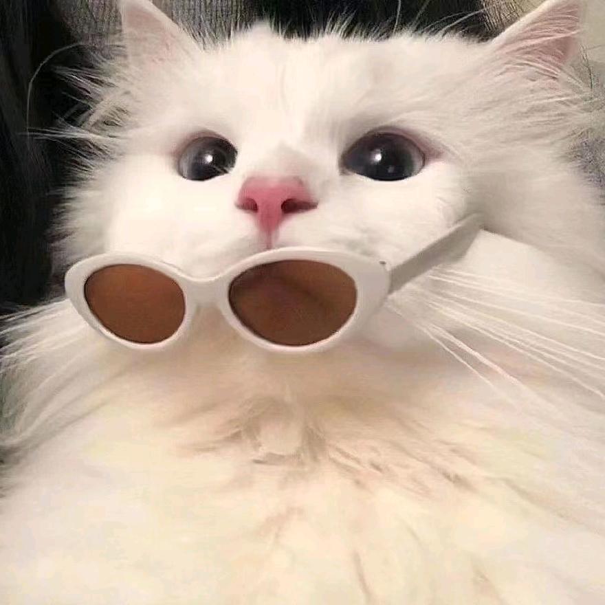 咩咩不会咩🐑