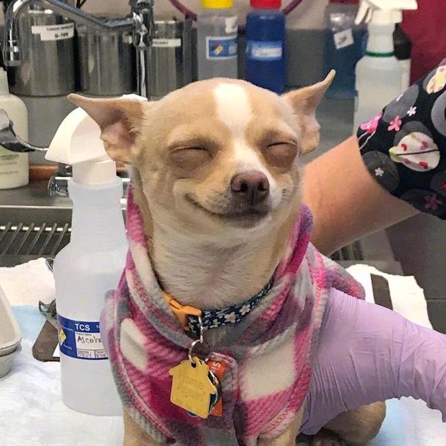 整点虾条哇🦐🍟