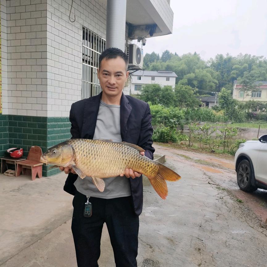 王木匠，专业木工