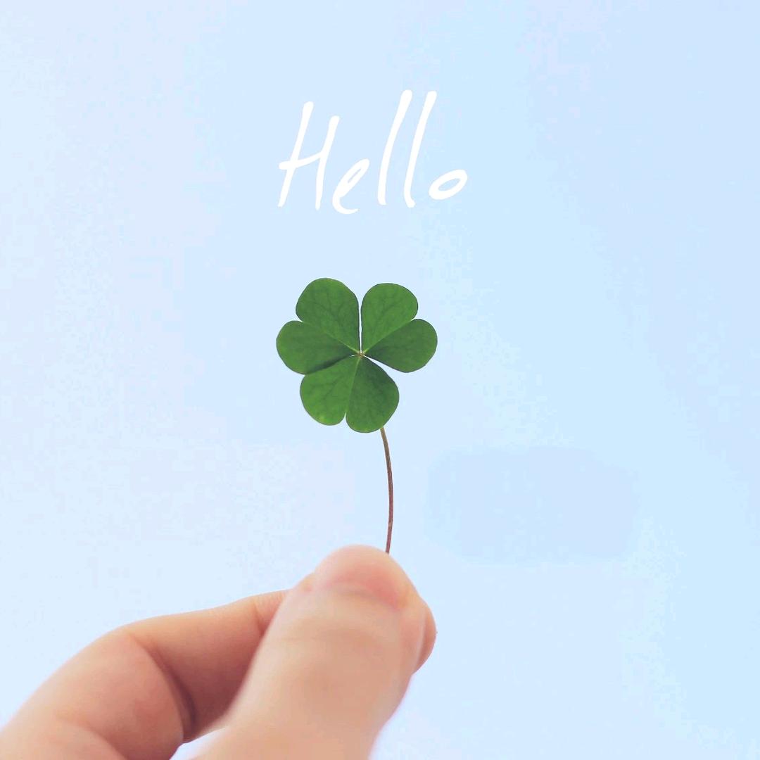 我的姓氏你的名@