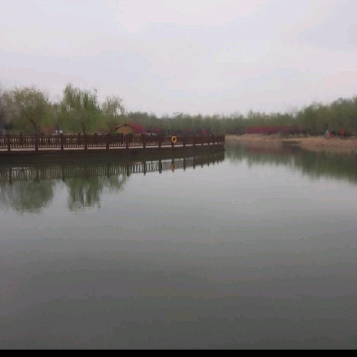 东方8