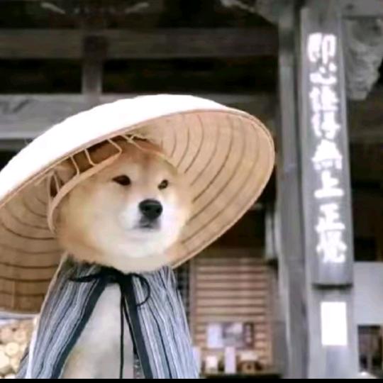 天意
