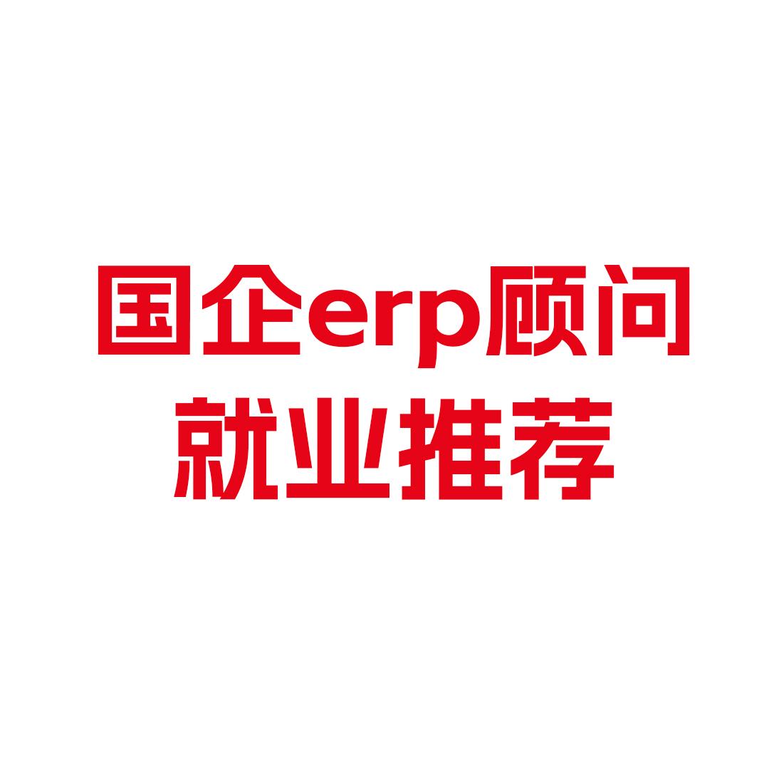 国企ERP就业咨询