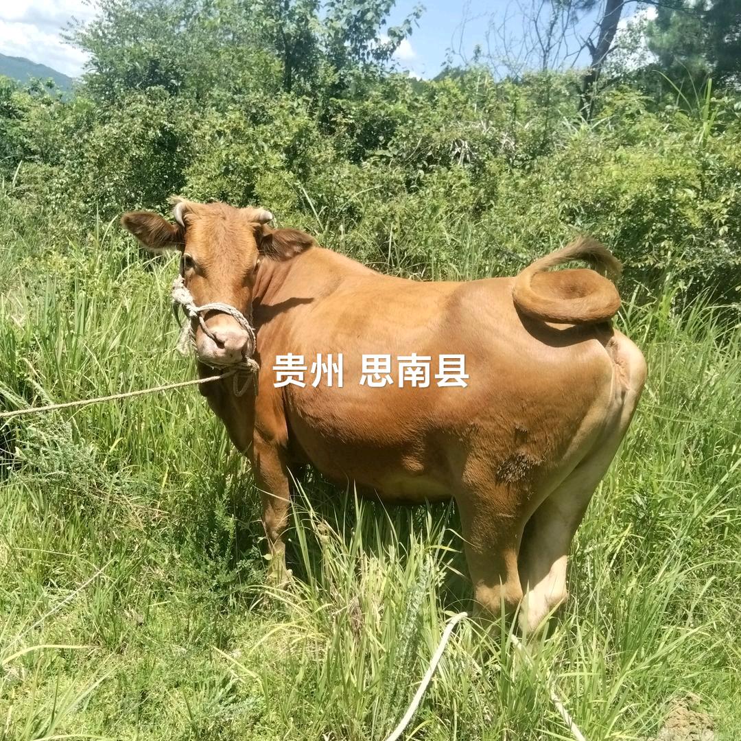 和气生财