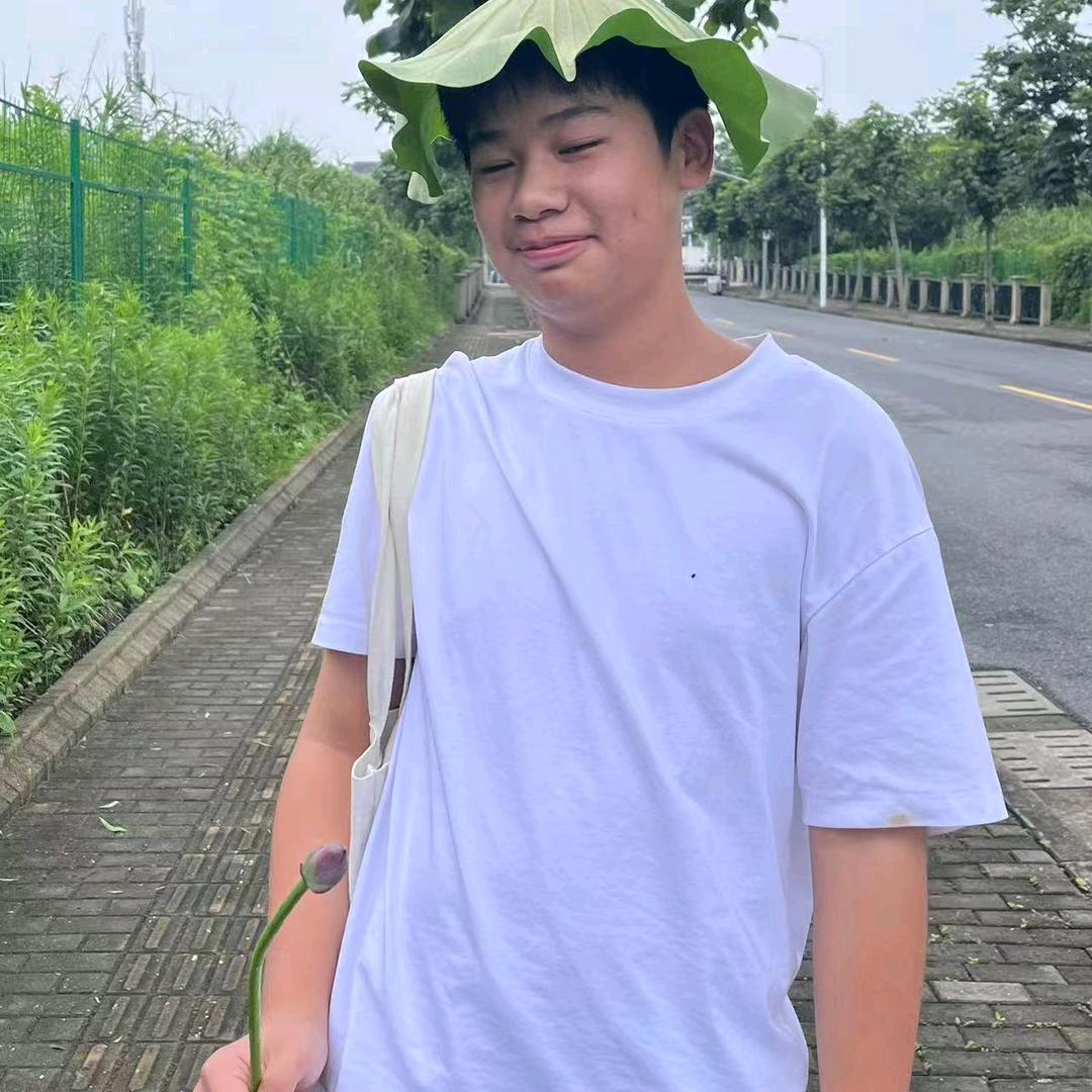 无需理解