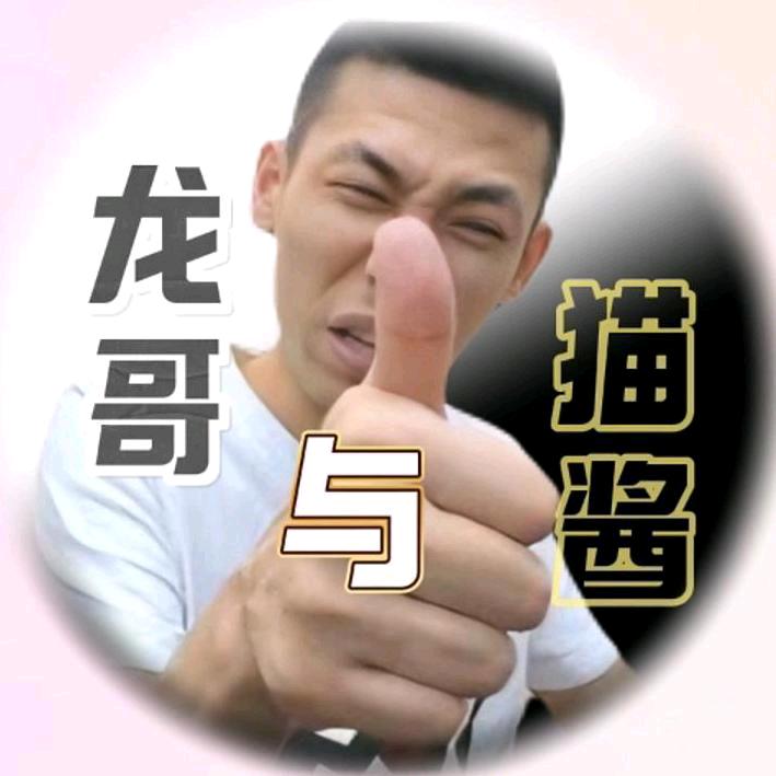 龙哥与猫酱（旭旭宝宝剪辑组）