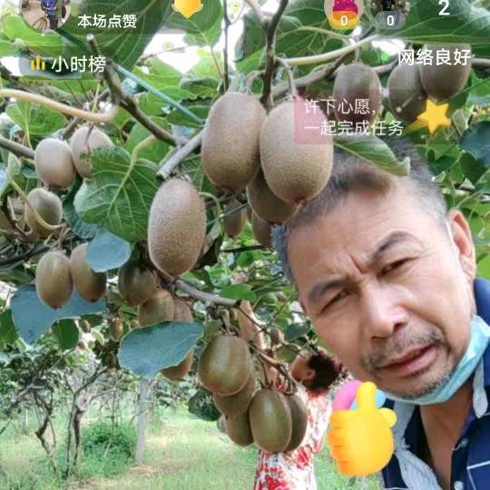 吉祥瑞。