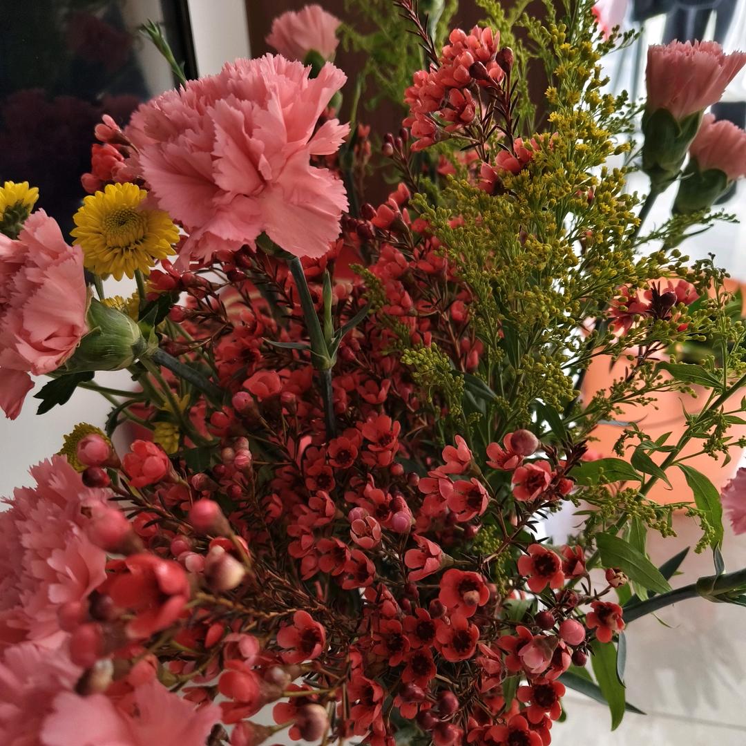 俊芝