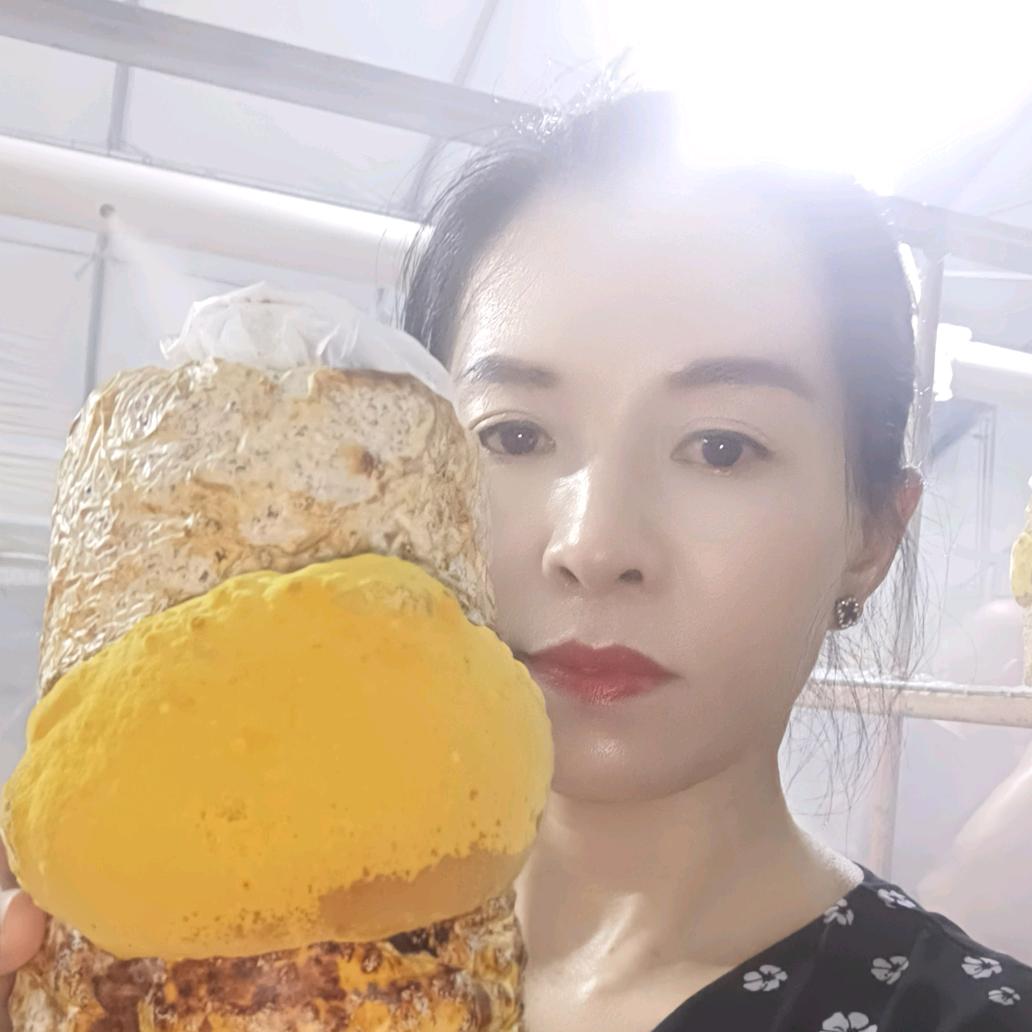 嘉兴食用菌珺姐