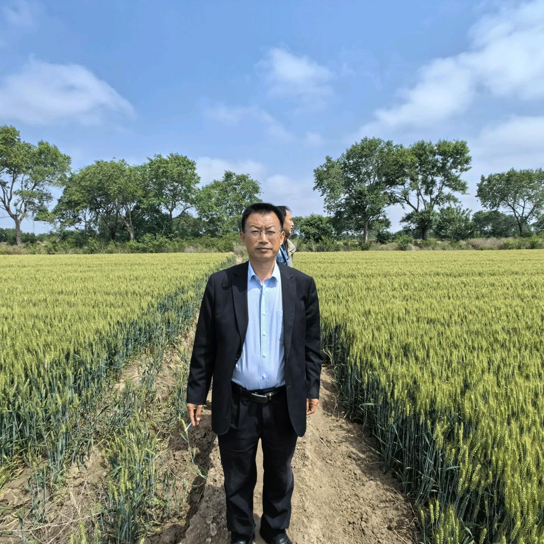 陈怀训