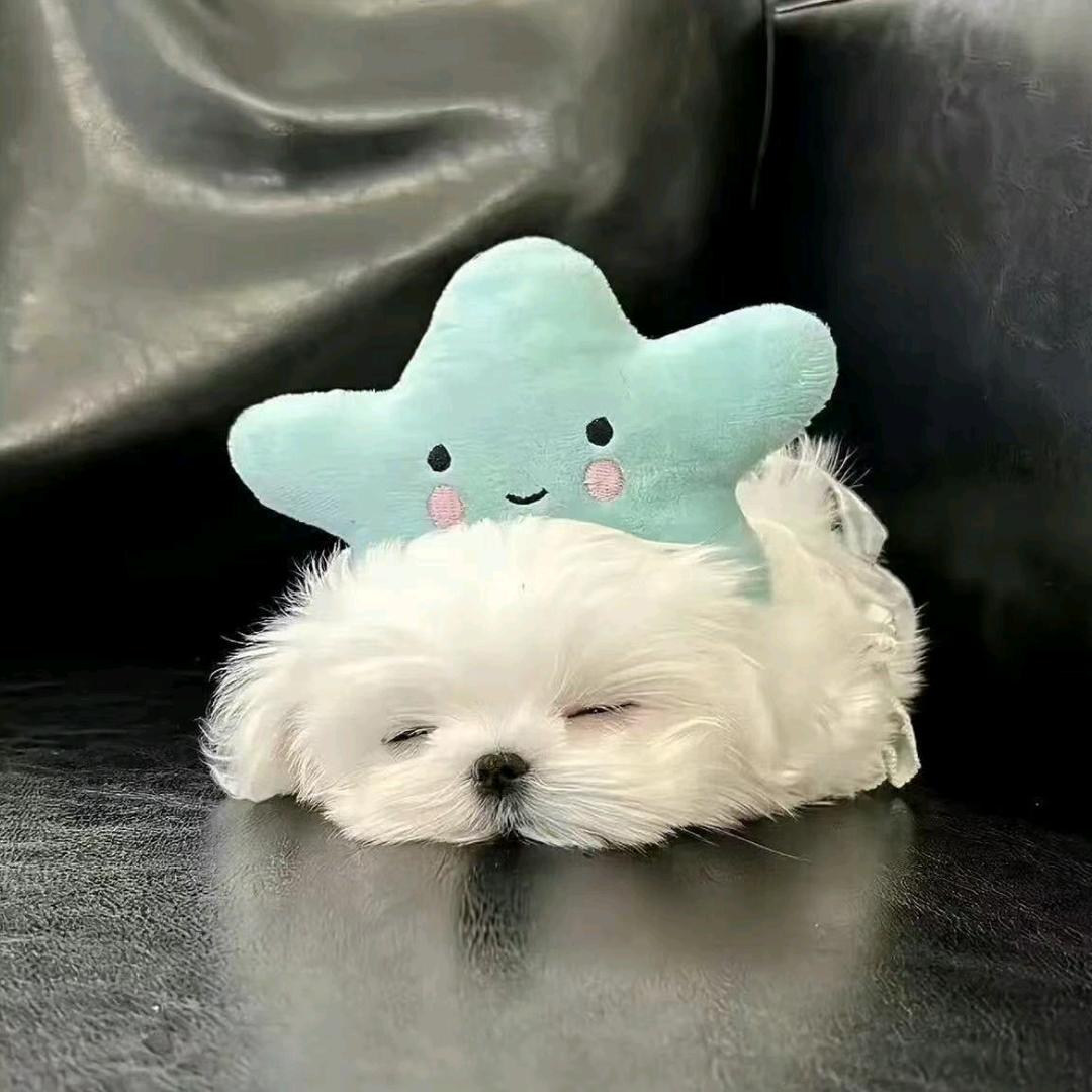 三不知