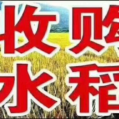 小可爱