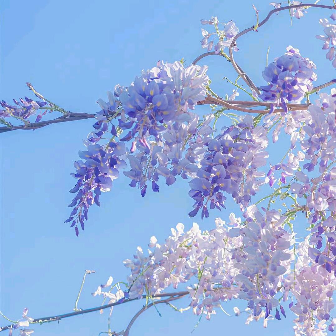 杜撰
